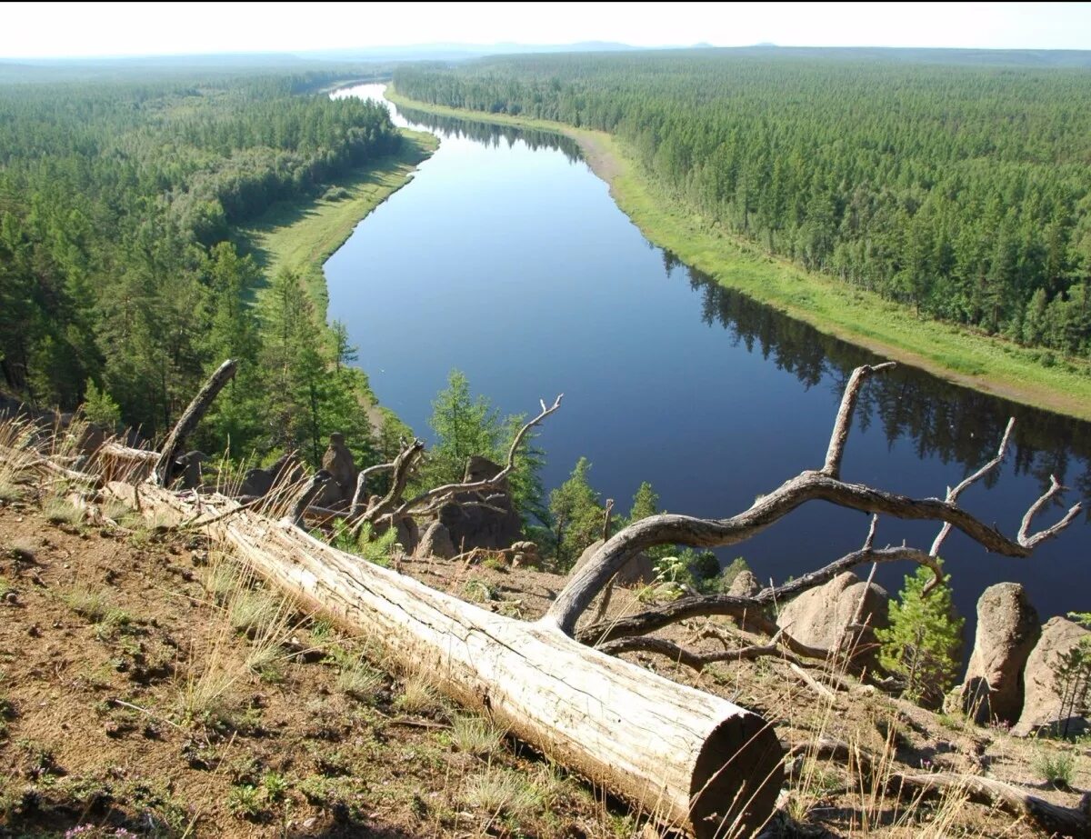 Подкаменная Тунгуска река. Река Тунгуска Красноярский край. Река Подкаменная Тунгуска Красноярский край. Исток реки Подкаменная Тунгуска. Приток подкаменной