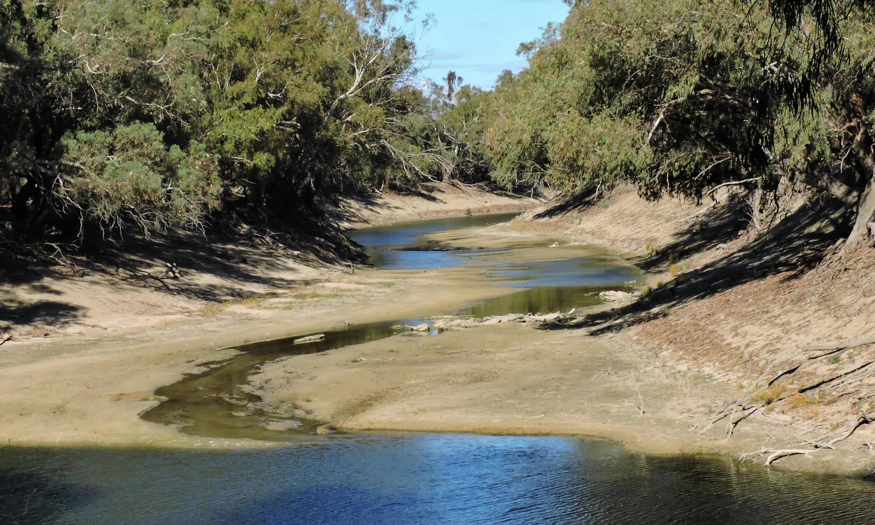 Пересыхающие реки называют. Муррей, Дарлинг, Купер-крик. Река Дарлинu Австралии. Куперс-крик река. Река Купер крик в Австралии.