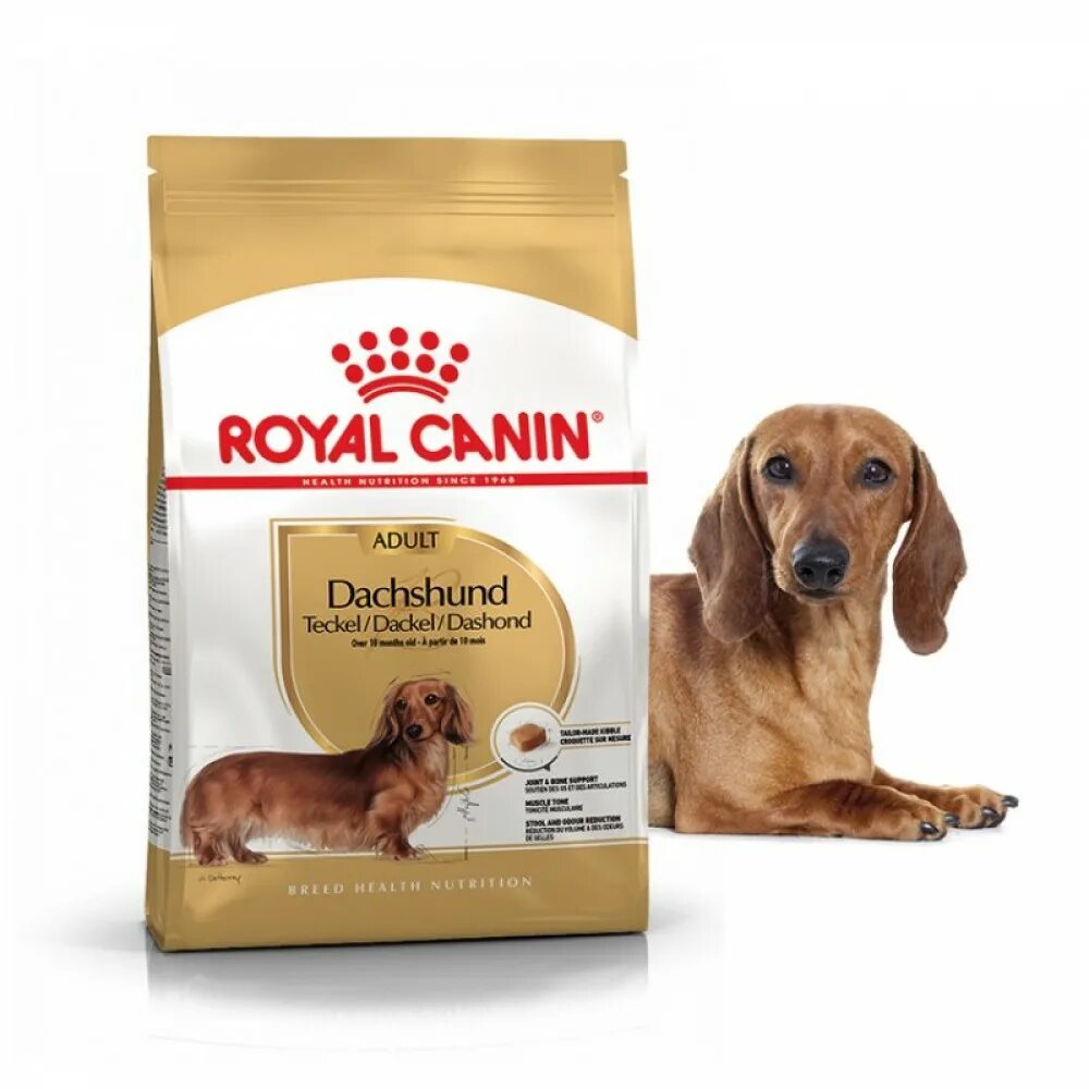 Royal Canin Dachshund 7.5. Роял Канин для таксы 1.5 кг. Роял Канин для такс щенков. Корм для щенков таксы Роял Канин. Роял канин для собак хороший корм