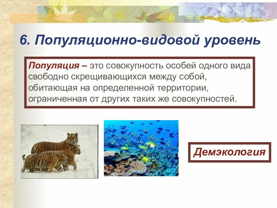 Популяция представляет собой совокупность