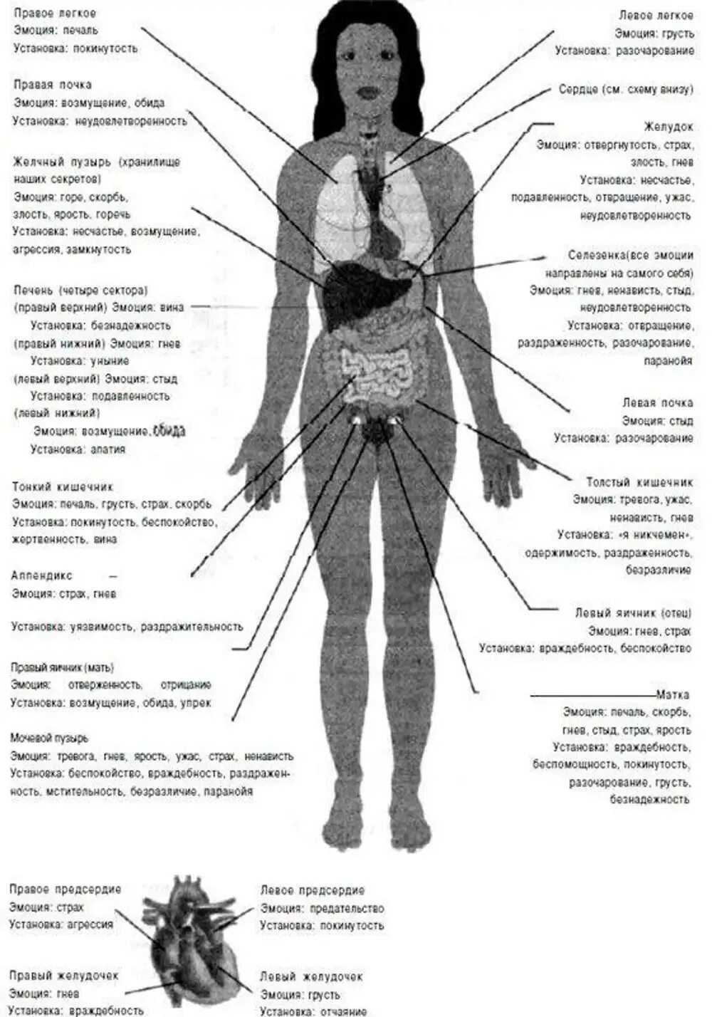 Психосоматика болезней. Чувства вызывающие болезни. Болят бока психосоматика. Болит левое колено психосоматика у женщины. Болит колено психосоматика.