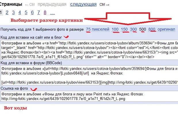 Получить код. Картинка кота для вставки. яндекс. фото получить код. страницы ← предыдущаяследующая →. подходящий размер фото в яндексе услуг.