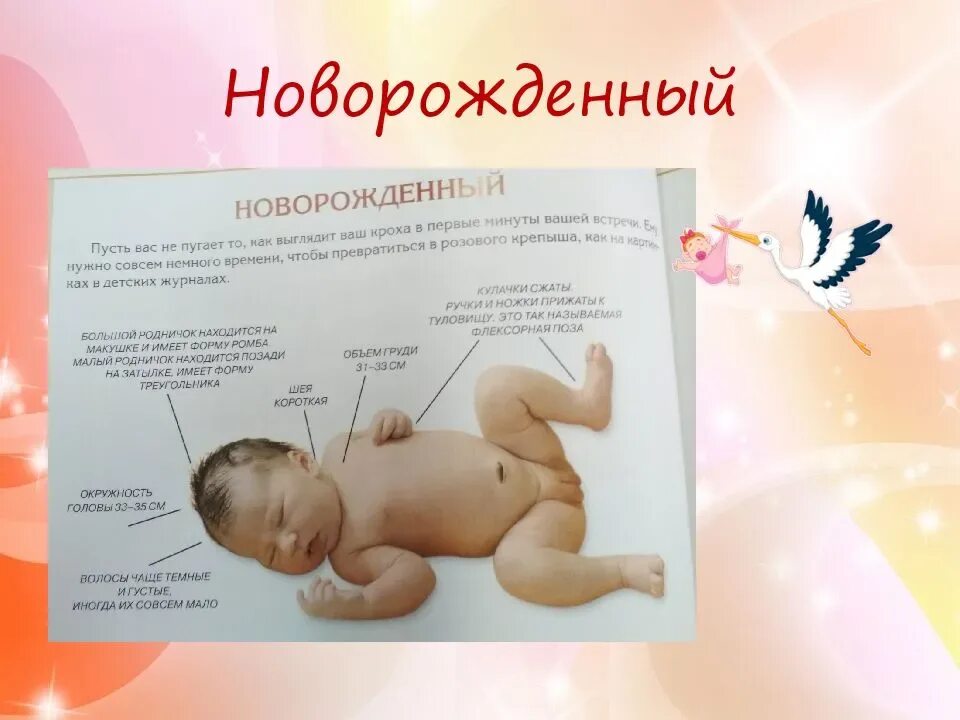 Уход за новорожденным. Новорожденный ребенок для презентации. Живот новорожденного ребенка. Уход за младенцем.