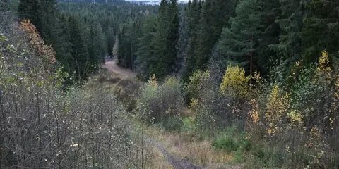 Курган петрозаводск