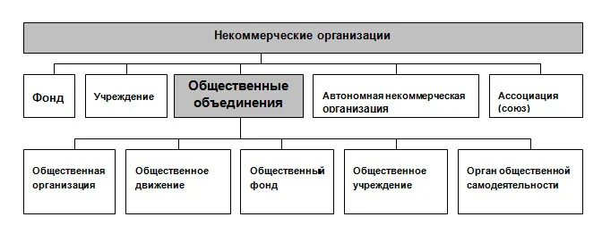 Публичные некоммерческие организации