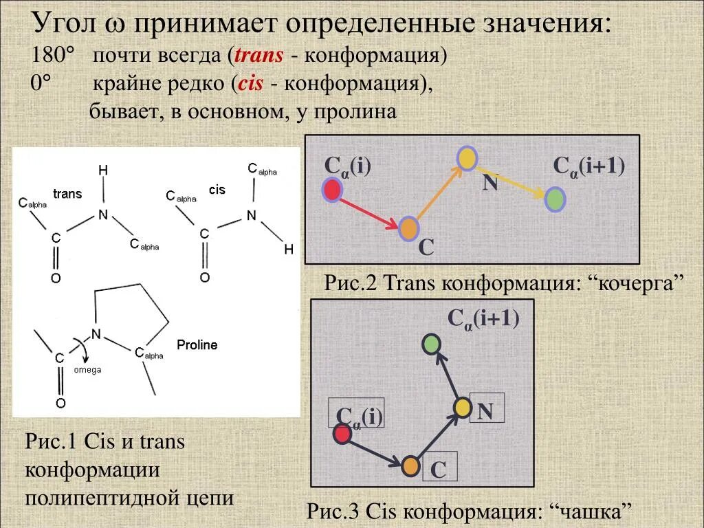 Конформации цепи. Торсионные углы пептидной связи. Торсионный углы в пептидах. Торсионный угол в молекуле. Цис конформация.