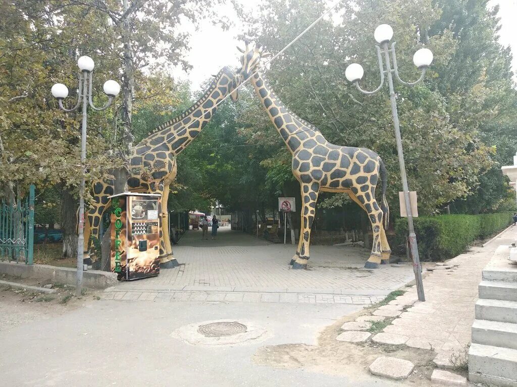 редукторный парк в махачкале. комсомольский парк махачкала. парк ленинского комсомола махачкала. центральный парк махачкала. комсомольский парк махачкала.