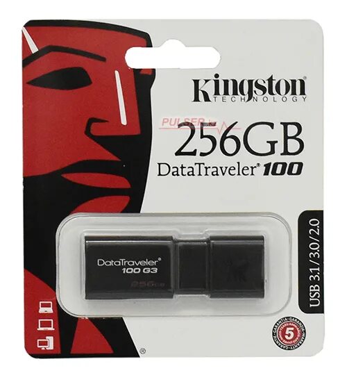 Флешка 128 гб днс. Флешка Kingston 256 ГБ. USB флешка 256gb Kingston. Kingston 256gb dt100g3-256gb. USB-диск 256 ГБ Kingston.