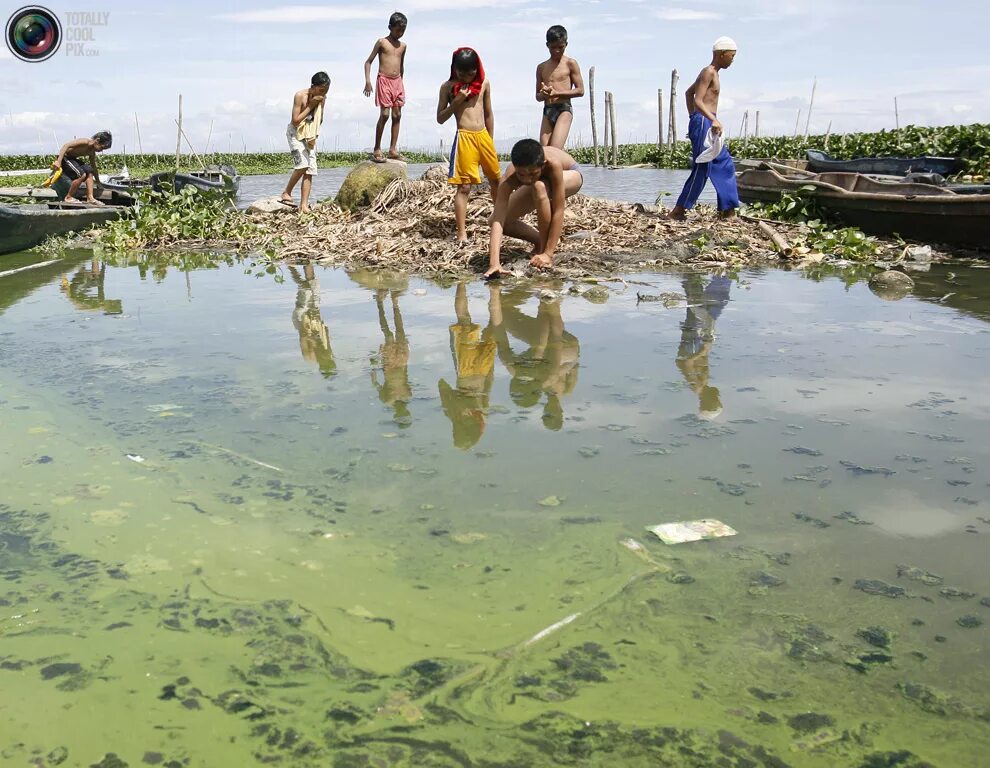 Купаться в чистой воде к чему снится. Купание в загрязненных водоемах. люди купаются в грязной воде.