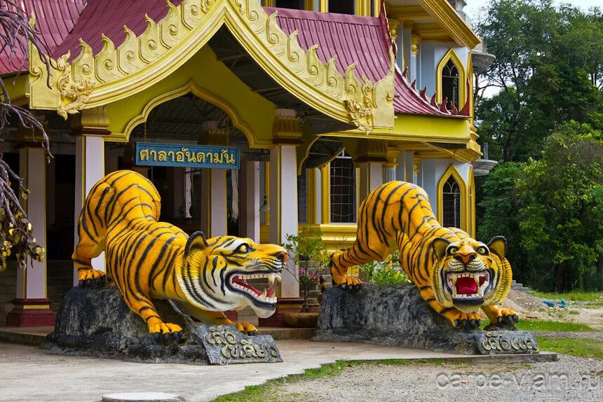Храмы краби. Тигриный монастырь Таиланд. Храм тигра Краби. Храм тигра в Тайланде. Храм тигра в Тайланде Краби.