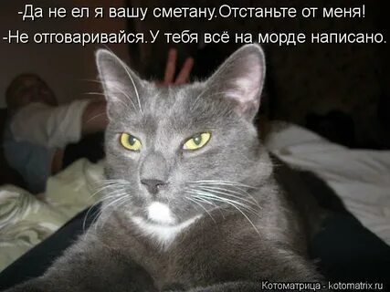 Отстань ты есть меня нет