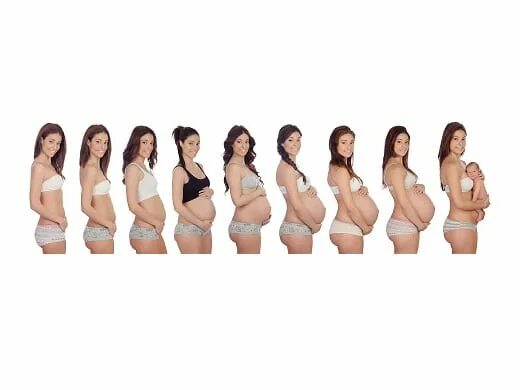 Во сколько растет живот. Груди беременных по месяцам. Этапы роста живота у беременных. Грудь беременной по месяцам. Грудь беременной по неделям.