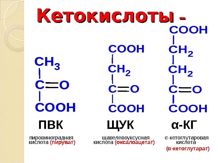 Пвк в биологии. Пути превращения пвк в организме. Пируват это пировиноградная кислота. Пировиноградная кислота с синильной кислотой. Пировиноградная, ацетоуксусная, щавелевоуксусная, α-кетоглутаровая.