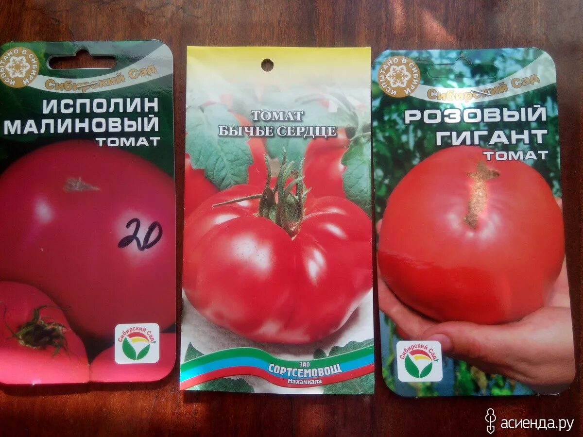 томат исполин малиновый сибирский сад. семена сибирский сад томат исполин малиновый. томат сибирский грунтовый малиновый 20шт (сиб сад). исполин малиновый 20шт томат (сиб сад). семена сибирский сад томат исполин малиновый.