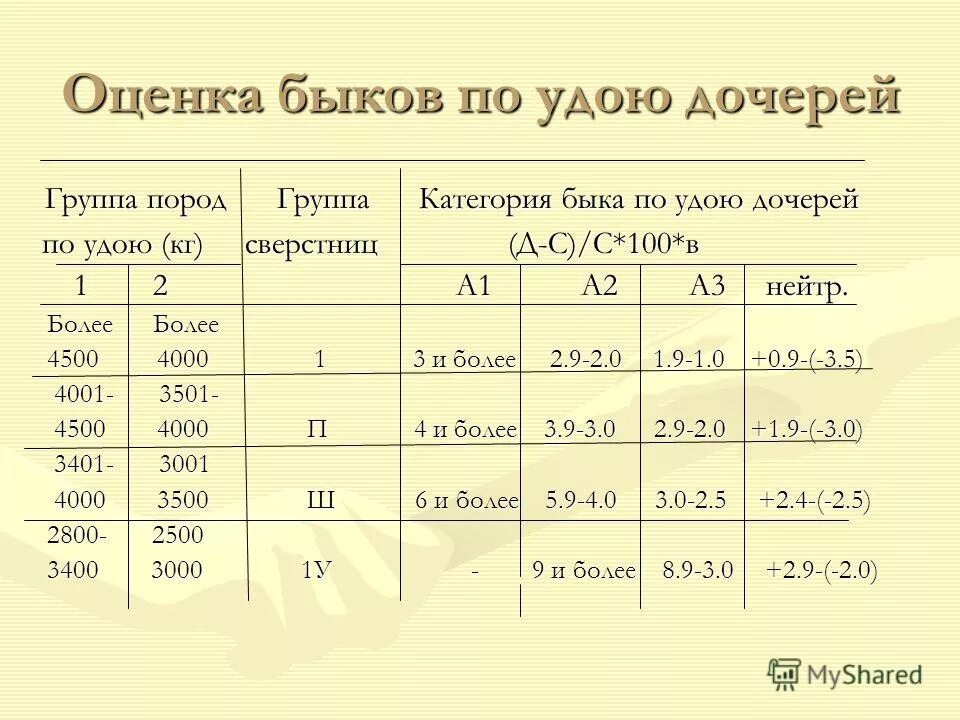 Оценка быков производителей