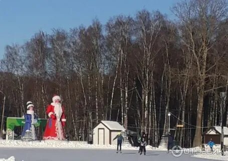 1 июня белоусовский парк тула