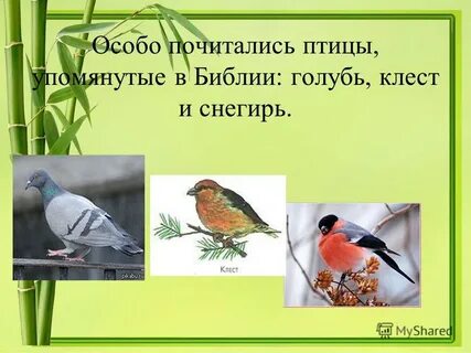 Какие птицы упоминаются в стихотворении