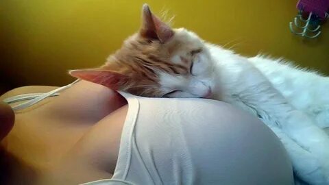 ...reddit memes, meme, unexpected videos, cute and funny animals, totally r...