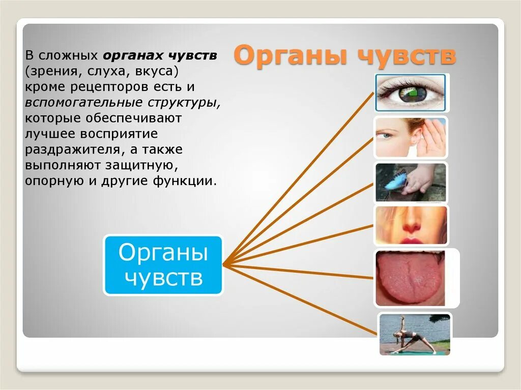 Чувствуя 3