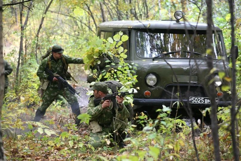 Слова засада. Организация засады в лесу. Разведывательная засада. В засаде. Разведка в засаде.