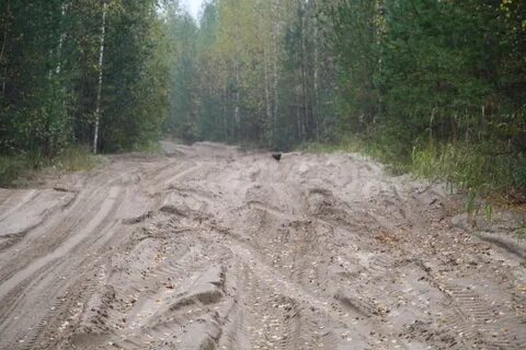 Плохая местность