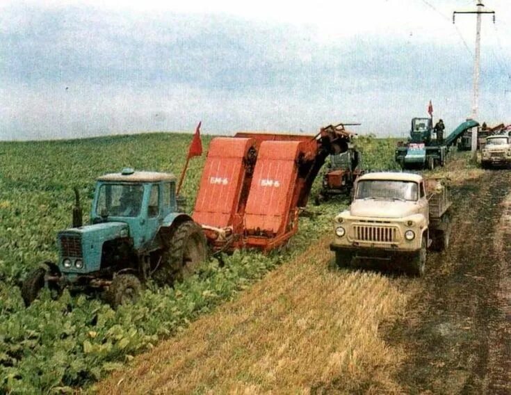 Колхоз какую технику. Трактор мтз 80калхоз сср. трактор мтз 80 ссср колхоз. саз 3503 уборочная. мтз 82 колхозный.