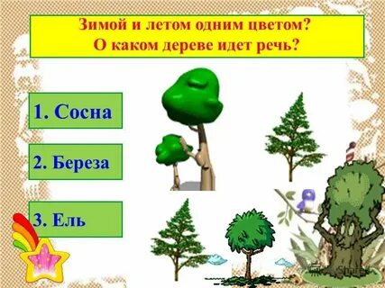 Зимой и летом 1 цветом ответ
