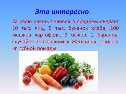 Пища доклад