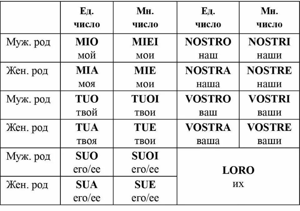 Местоимения в итальянском языке таблица. Притяжательные местоимения в итальянском языке. Итальянские местоимения таблица. ИТ притяжательное местоимение. Итальянская лексика