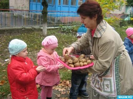 Детский сад картошка