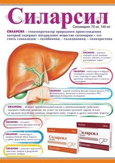 Чем лечить селезенку и боли