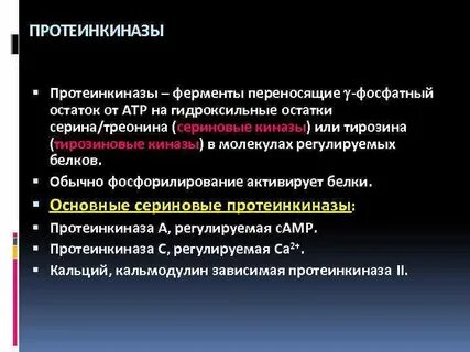 Протеинкиназа класс