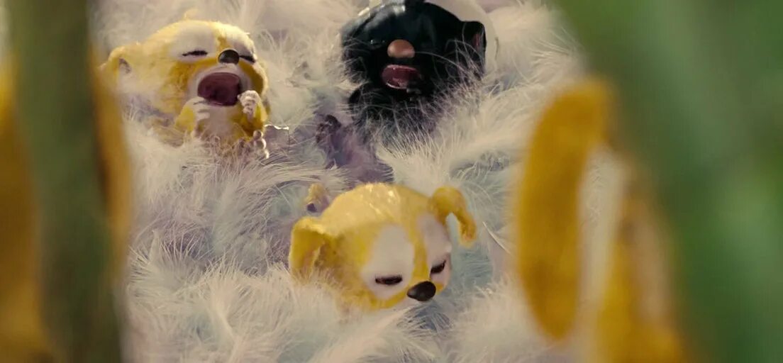 джунгли зовут! в поисках марсупилами фильм 2012. марсупилами мультик. джунгли зовут в поисках марсупилами мультфильм. джунгли зовут 2. джунгли зовут 2.