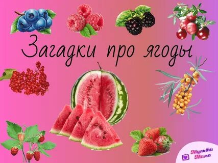 Детские песни про ягоды