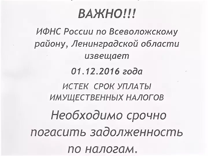 Налоговая инспекция Всеволожск. Налоговая Всеволожского района телефон. Налоговая Всеволожского района адрес. Как работает налоговая во Всеволожске сейчас.