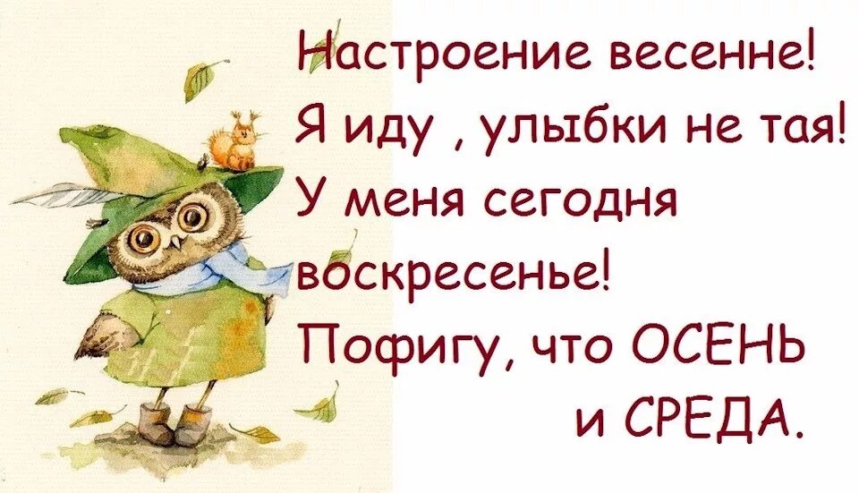 Смешные высказывания для настроения. Фразы про настроение. открытки юмор для настроения. цитаты про настроение смешные. фразы утром для хорошего настроения.