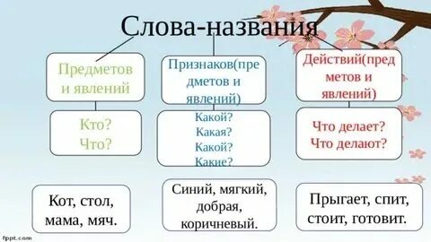 Предмет какой действие как. Предмет какой действие как