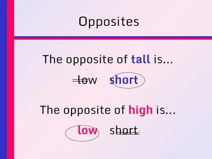 Tall opposite word