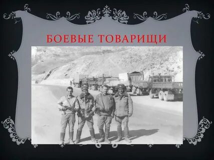 Боевой товарищ