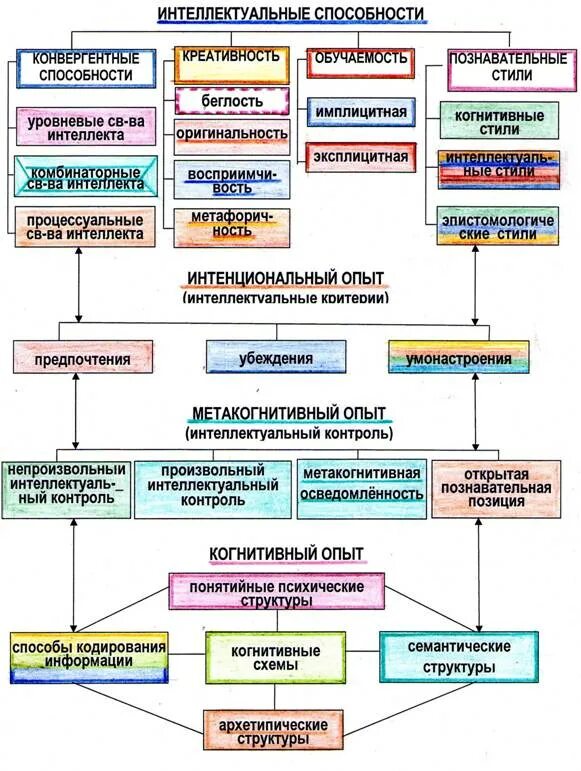 Функции интеллектуального потенциала. Когнитивные и интеллектуальные способности. Модель психологического устройства интеллекта. Когнитивные стили. Модель интеллектуального потенциала.