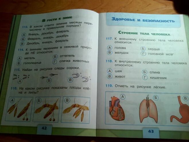 Тест здоровье и безопасность ответы