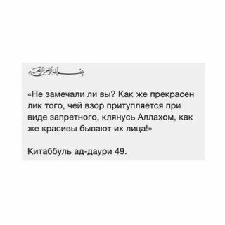 Я веселый взор заметил