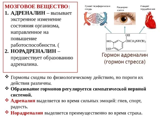 Гормоны адреналин и норадреналин. Норадреналин расширяет сосуды. Выработка адреналина и норадреналина. Адреналин избыток и недостаток. Повышен уровень адреналина в крови