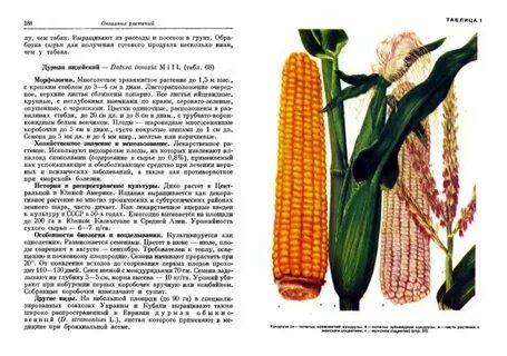 Книги о культурных растениях