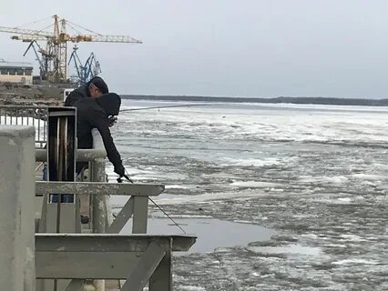 Амуринфо амурская область последние