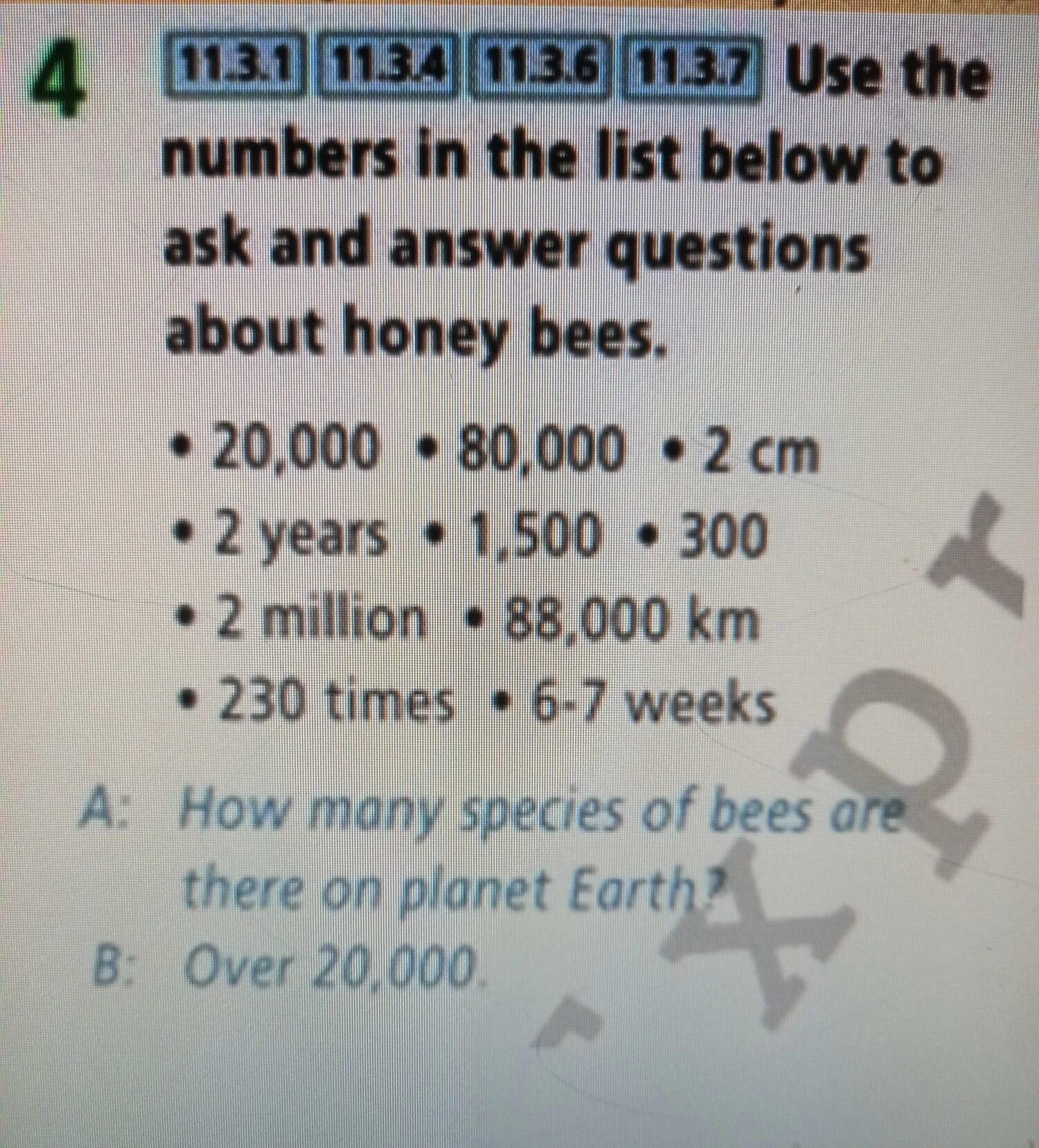 7 ask and answer