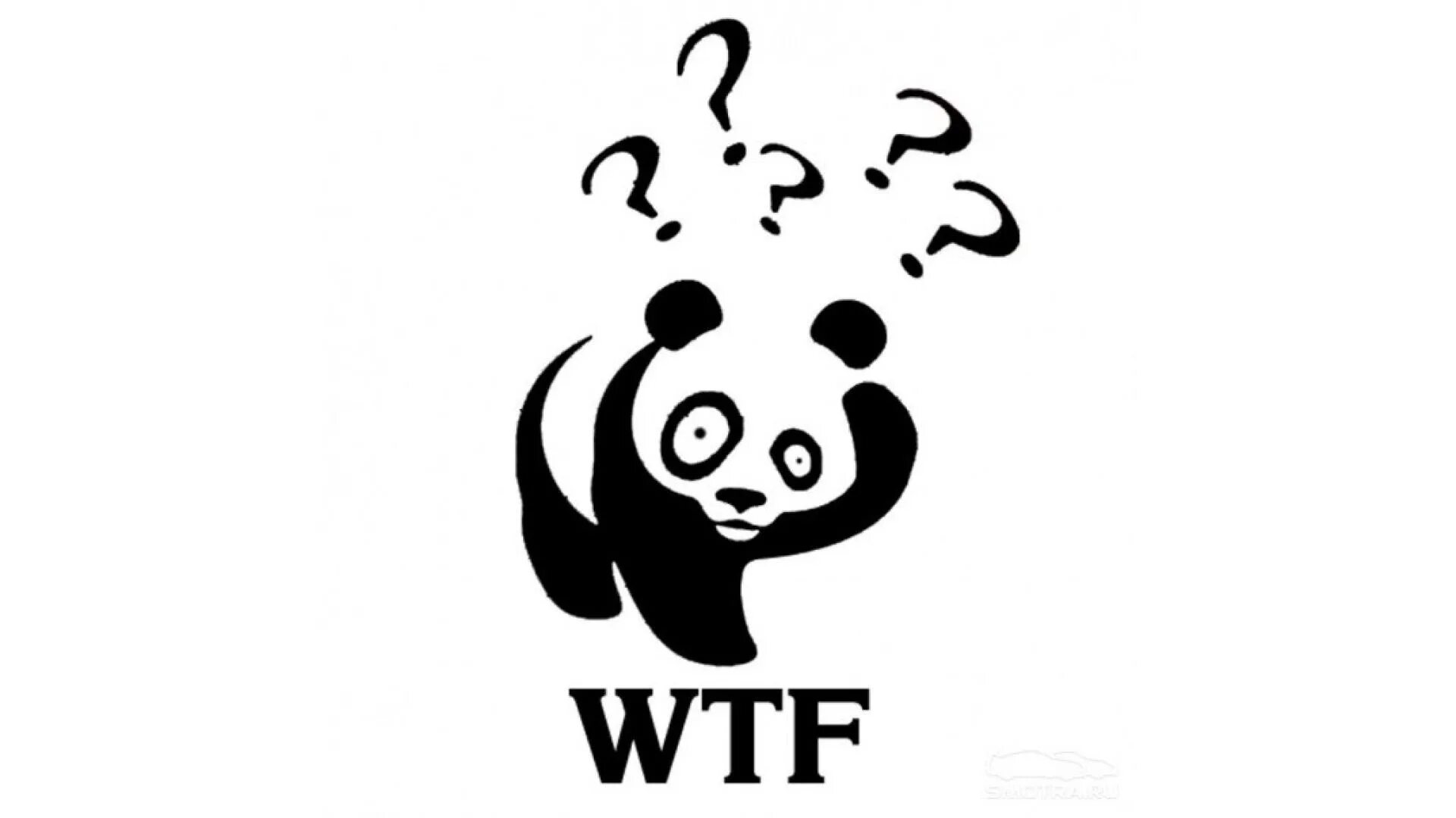 Wtf. Wtf надпись. wtf картинка. рисунок wtf. wtf без фона.