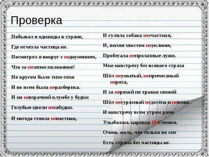 Однажды я дал ворону печенье