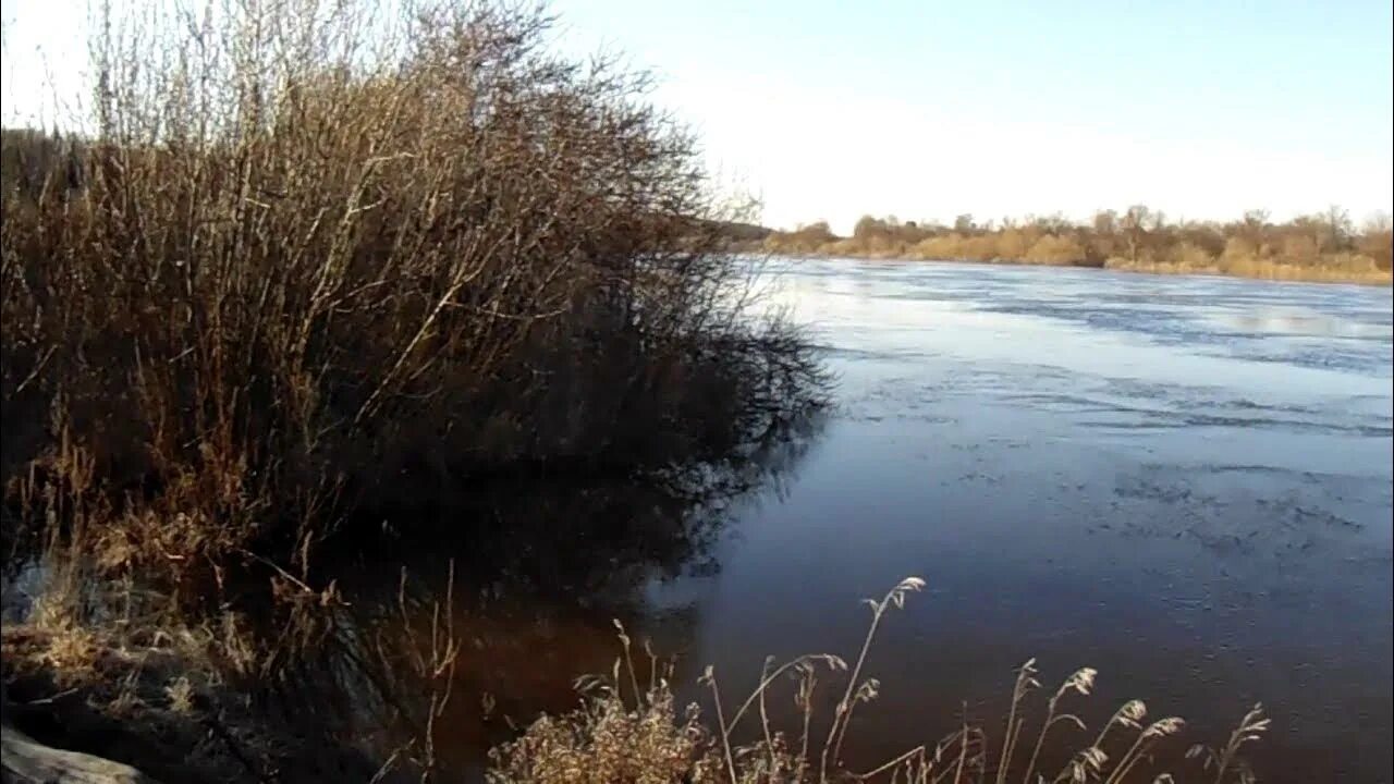Уровень воды в клязьме сегодня галицы. Разлив реки Клязьма. Разлив Клязьмы Боголюбово. Разлив Клязьмы апрель 2022. Вязники разлив реки.