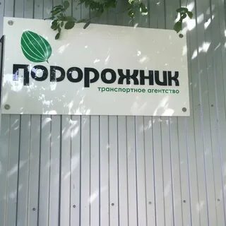 Компания подорожник